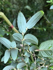 © Wolli Huang, some rights reserved (CC-BY-NC)