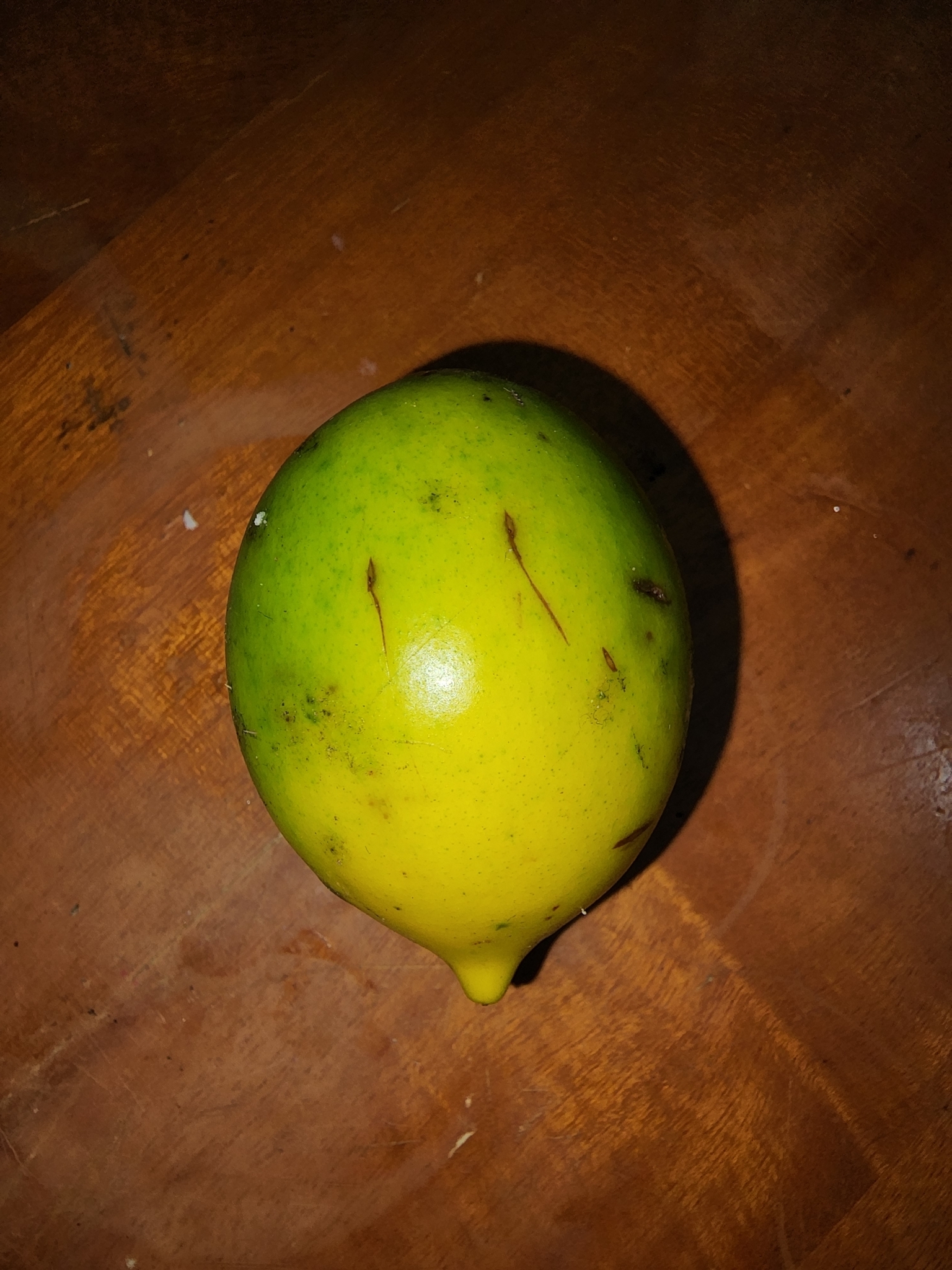 Imagem de Fruta Abil