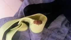 Agonosoma flavolineatum