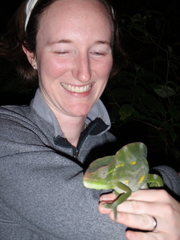 Trioceros deremensis