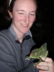 Trioceros deremensis