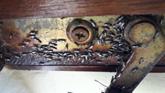 Macchiademus diplopterus