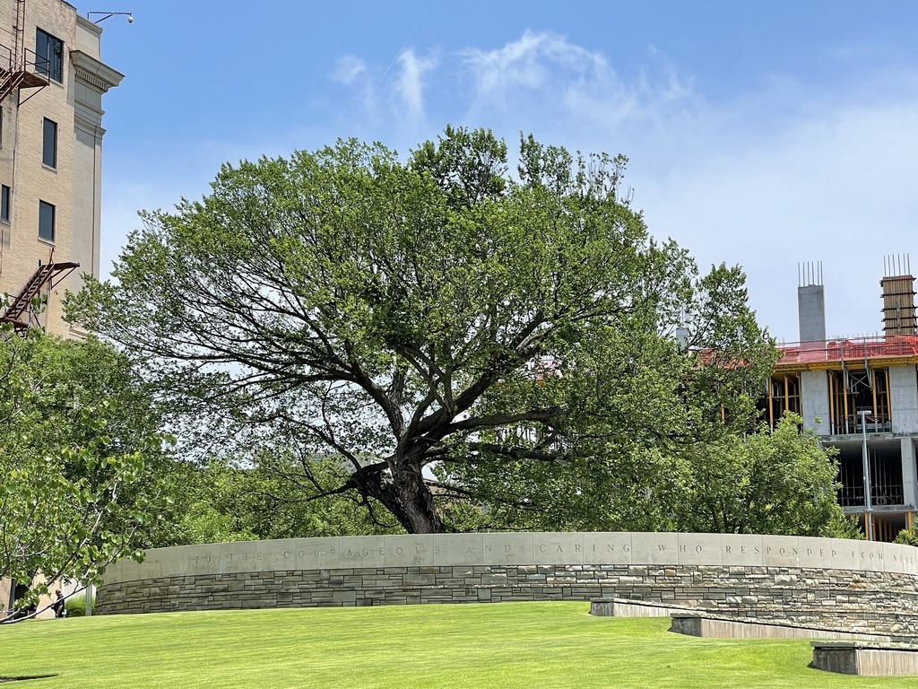 The Survivor Tree