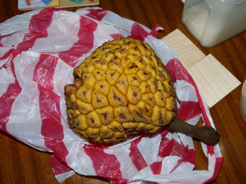 Giant Yellow Mulberry