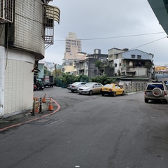 Nycticorax nycticorax