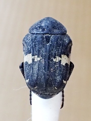 Glycyphana fulvistemma