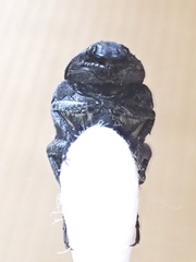 Glycyphana fulvistemma