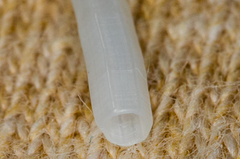 Scaphopoda