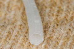 Scaphopoda