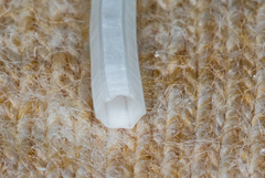 Scaphopoda