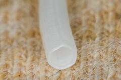 Scaphopoda