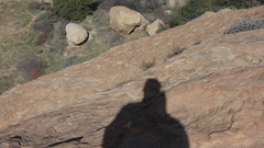 Deinandra minthornii