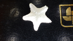 Echinodermata