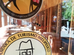 Achenoderus octomaculatus