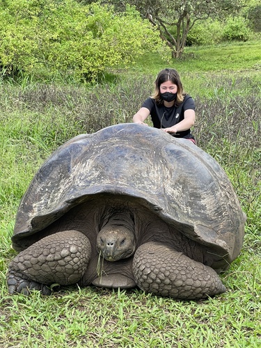 Galápagos Giant Tortoise, Santa Cruz, EC-GA, EC, photo 9 of 10