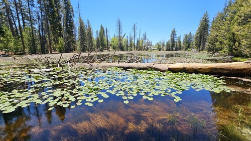 Cliff Camp Trail