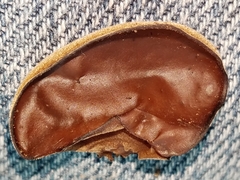 Auricularia fuscosuccinea