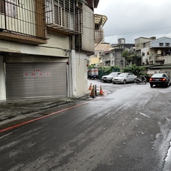 Nycticorax nycticorax