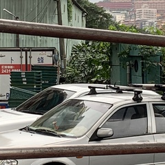 Nycticorax nycticorax