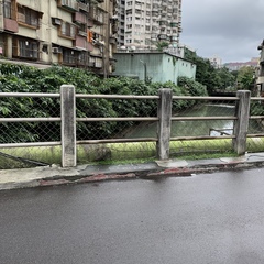 Nycticorax nycticorax