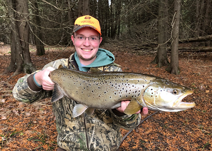 Brown Trout from M149, Manistique, MI, US on December 10, 2020 at 02