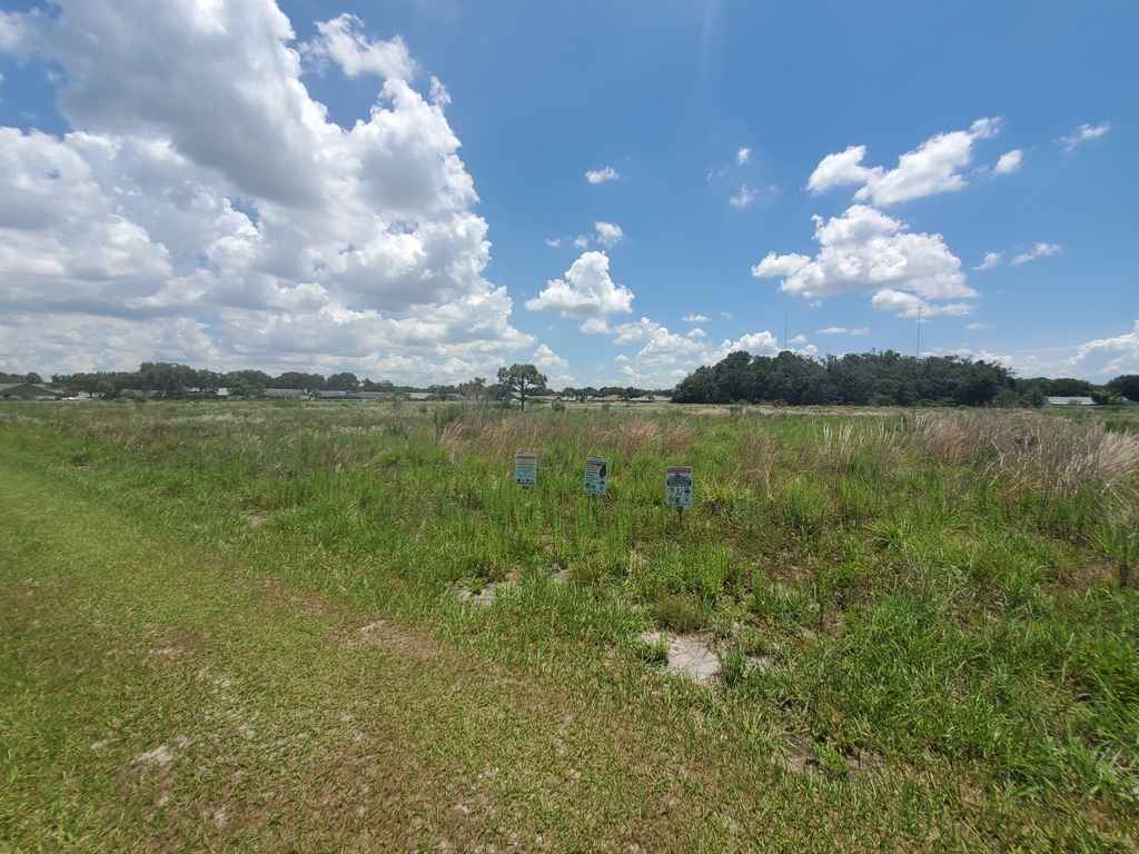 Something from Boyette Springs, Riverview, FL 33569, USA on July 6