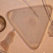 Trigonium arcticum - Photo (c) David B. Richman,  זכויות יוצרים חלקיות (CC BY-NC), הועלה על ידי David B. Richman