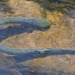 Pouched Lampreys - Photo (c) Phil Benstead, some rights reserved (CC BY-NC), uploaded by Phil Benstead