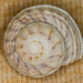 Button Snail - Photo (c) BJ Stacey, some rights reserved (CC BY-NC), uploaded by BJ Stacey