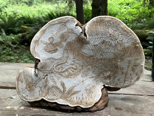 artist's bracket (Ganoderma applanatum)