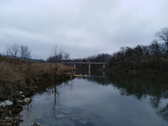 Arnoglossum plantagineum