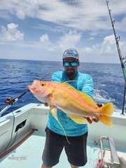 Longtail Bass photo 4