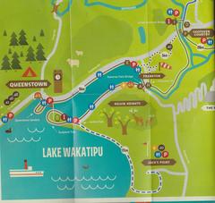 Nothofagus cliffortioides