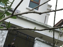 Dendrophthoe pentandra