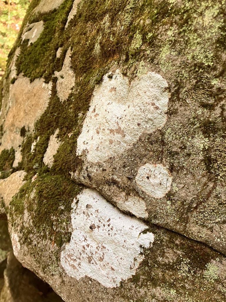 Whitewashed Rocks Rock Whitewash from Apollo, PA, US on July 24, 2023 at 11:38 AM by ...