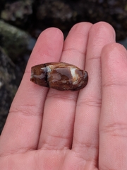 Atrimitra idae