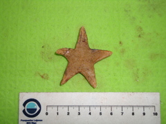 Leptychaster arcticus