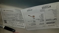 Mycena alcaliniformis