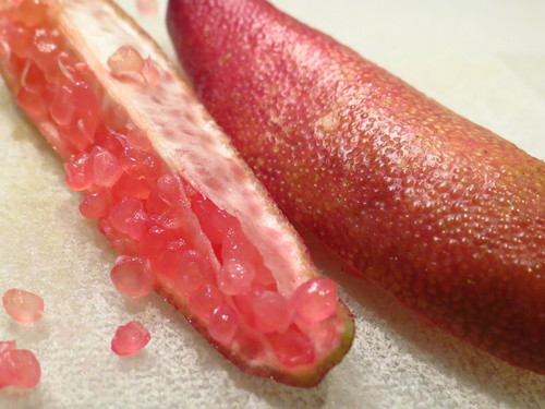 Finger Lime