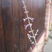 Salvia yangii: Herkunft und Verwendung — foto 3