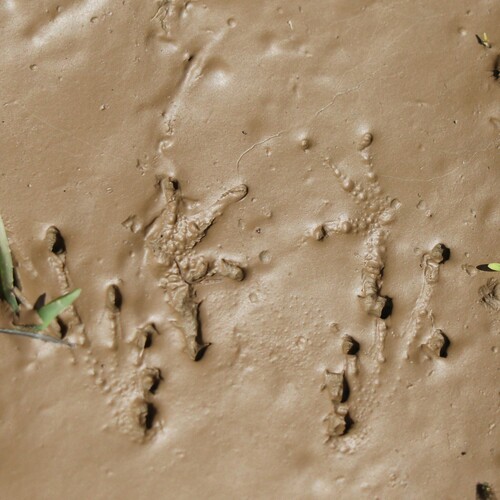 iNaturalist Tracking Database – NatureTracking