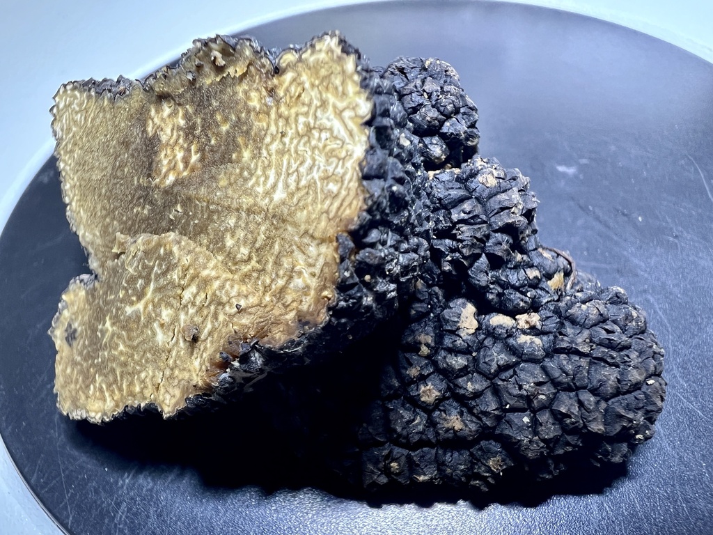 Truffles in July 2023 by Brian Hunt. Introduced by Wes Burton 20 years