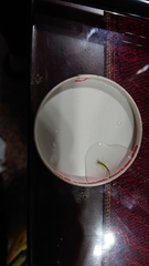 Pseudagrion microcephalum