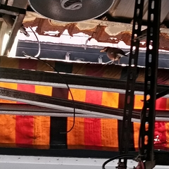 Acridotheres tristis