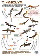 Sphaerodactylus