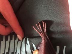 Rousettus aegyptiacus