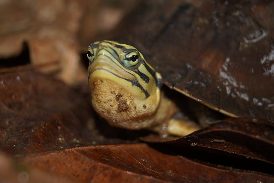 Photo by Tom Kirschey