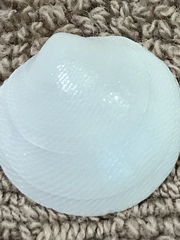 Divalinga quadrisulcata