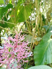 © jorgeluispaez, some rights reserved (CC-BY-NC)