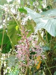 © jorgeluispaez, some rights reserved (CC-BY-NC)